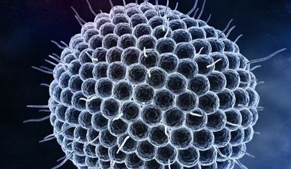 a virus